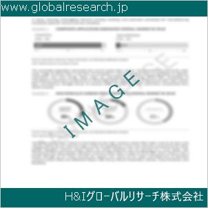 グローバルリサーチ調査資料のイメージ